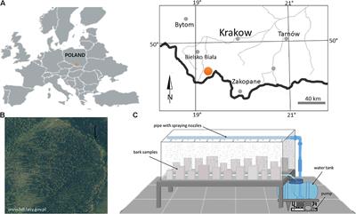 Vertical Variability in Bark Hydrology for Two Coniferous Tree Species